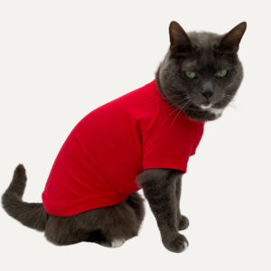 Princeprincesspetwear Cat Vest in Red