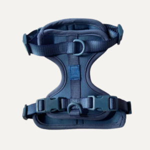 Come Here Buddy Navy Blue Padded Dog Harness